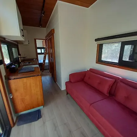 Cozy Tiny House Surrounded By Olive Trees Near Beach In Ayvacik *