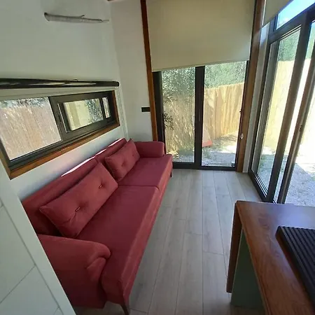 Cozy Tiny House Surrounded By Olive Trees Near Beach In Ayvacik *