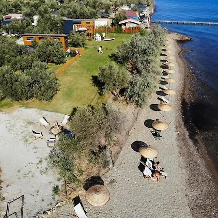 Cozy Tiny House Surrounded By Olive Trees Near Beach In Ayvacik *
