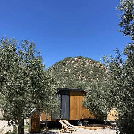 Holiday home Cozy Tiny House Surrounded By Olive Trees Near Beach In Ayvacik *