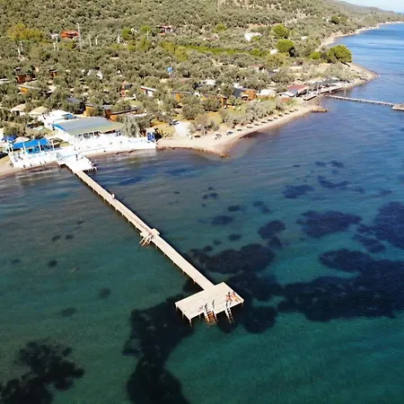 Cozy Tiny House Surrounded By Olive Trees Near Beach In Ayvacik Holiday home