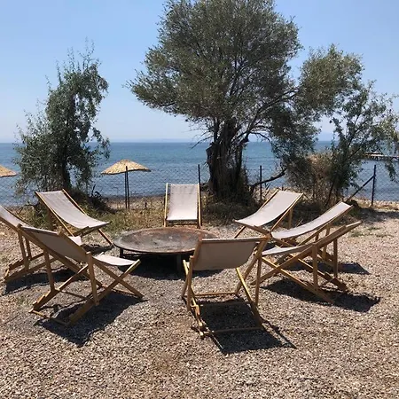 Cozy Tiny House Surrounded By Olive Trees Near Beach In Ayvacik Kucukkuyu